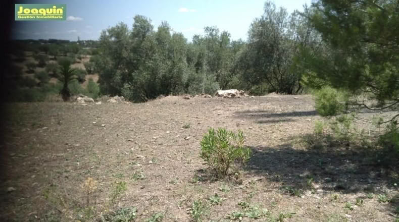 Córdoba - Córdoba - 2710m2