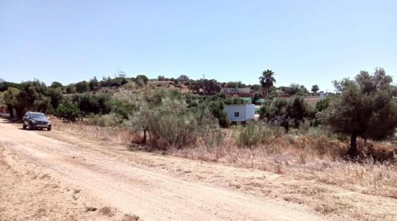 Sevilla - Castilblanco de los Arroyos - 2500m2