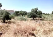 Terreny no urbanitzable en venda a la España, Castilblanco de los Arroyos, ref.: TR131130 foto