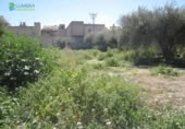 Parcel·la urbanitzable en venda a la España, Múrcia, ref.: TR131185 foto