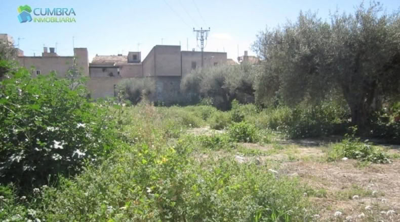 Murcia - Murcia - 671m2