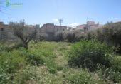 Parcel·la urbanitzable en venda a la España, Múrcia, ref.: TR131185 foto