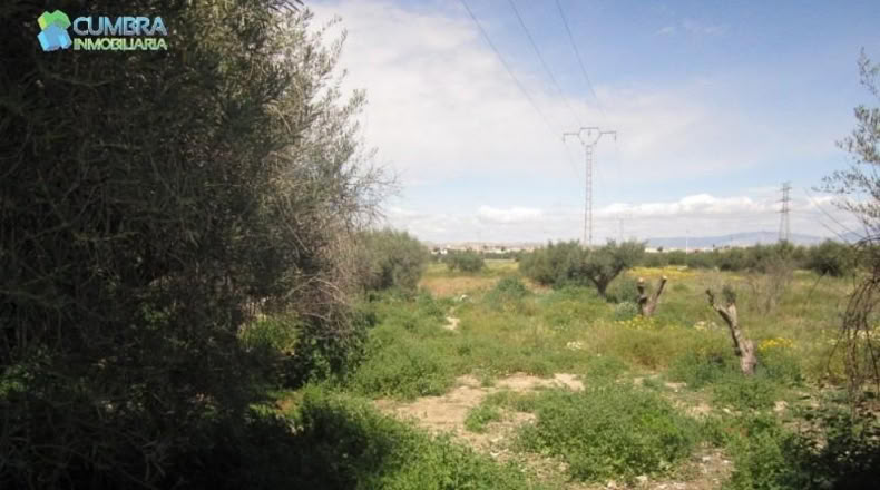 Murcia - Murcia - 671m2