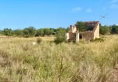 Chalet independiente con terreno en venta en la España, Santa Bàrbara, ref: TR299074 foto
