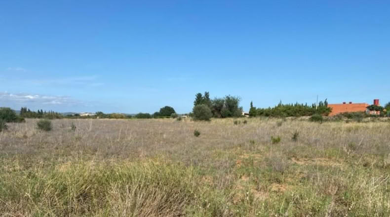 Tarragona - Santa Bàrbara - 14639m2