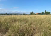 Chalet independiente con terreno en venta en la España, Santa Bàrbara, ref: TR299074 foto