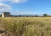 Chalet independiente con terreno en venta en la España, Santa Bàrbara, ref: TR299074 foto
