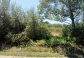 Non-developable land for sale on España, Ponferrada, ref: TR281009 photo