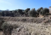 Non-developable land for sale on España, Alcañiz, ref: TR127276 photo