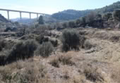 Non-developable land for sale on España, Alcañiz, ref: TR127276 photo