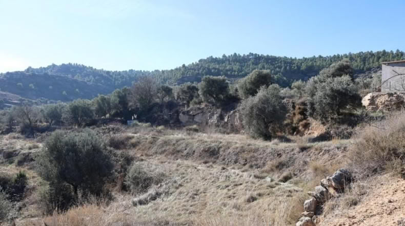 Teruel - Alcañiz - 5832m2