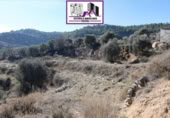 Non-developable land for sale on España, Alcañiz, ref: TR127276 photo