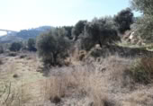 Non-developable land for sale on España, Alcañiz, ref: TR127276 photo