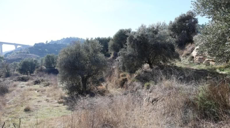 Teruel - Alcañiz - 5832m2