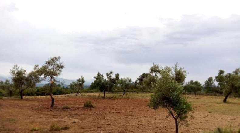 Teruel - Arens de Lledó - 22577m2