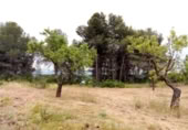 Xalet independent amb terreny en venda a la España, Arenys de Lledó, ref.: TR337482 foto