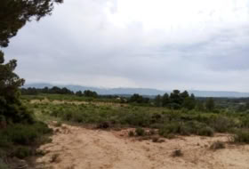 Arens de Lledó 22577&nbsp;m²