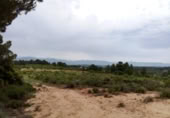 Xalet independent amb terreny en venda a la España, Arenys de Lledó, ref.: TR337482 foto