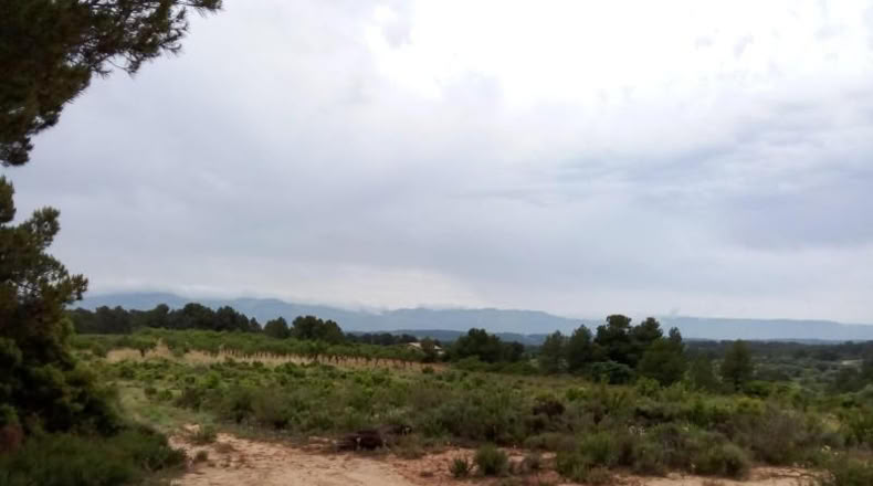 Teruel - Arens de Lledó - 22577m2