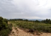 Xalet independent amb terreny en venda a la España, Arenys de Lledó, ref.: TR337482 foto