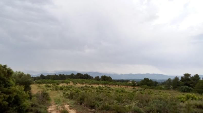 Teruel - Arens de Lledó - 22577m2