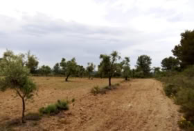 Arens de Lledó 22577&nbsp;m²