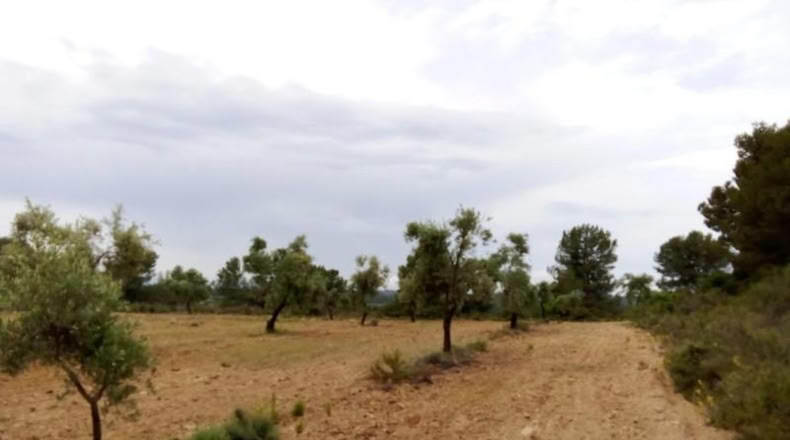 Teruel - Arens de Lledó - 22577m2