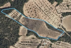 Arens de Lledó 22577&nbsp;m²