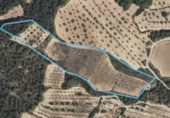 Xalet independent amb terreny en venda a la España, Arenys de Lledó, ref.: TR337482 foto