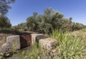 Non-developable land for sale on España, Cozvíjar, ref: TR325983 photo