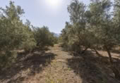Non-developable land for sale on España, Cozvíjar, ref: TR325983 photo
