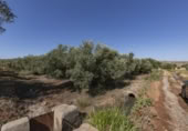 Non-developable land for sale on España, Cozvíjar, ref: TR325983 photo