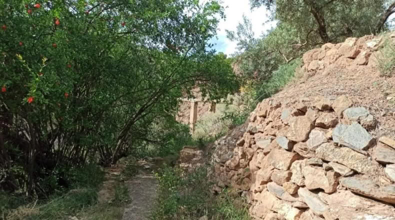 Almeria - Alcolea - 2300m2
