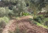 Terreny no urbanitzable en venda a la España, Alcolea, ref.: TR130760 foto