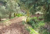 Terreny no urbanitzable en venda a la España, Alcolea, ref.: TR130760 foto