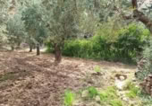 Terreny no urbanitzable en venda a la España, Alcolea, ref.: TR130760 foto
