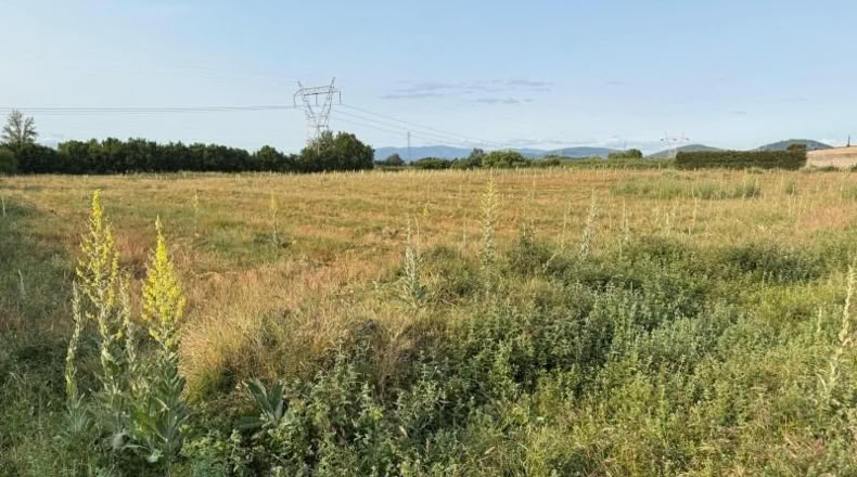 León - Camponaraya - 7400m2
