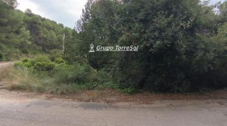 Tarragona - la Joncosa del Montmell - 887m2
