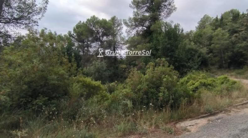 Tarragona - la Joncosa del Montmell - 887m2