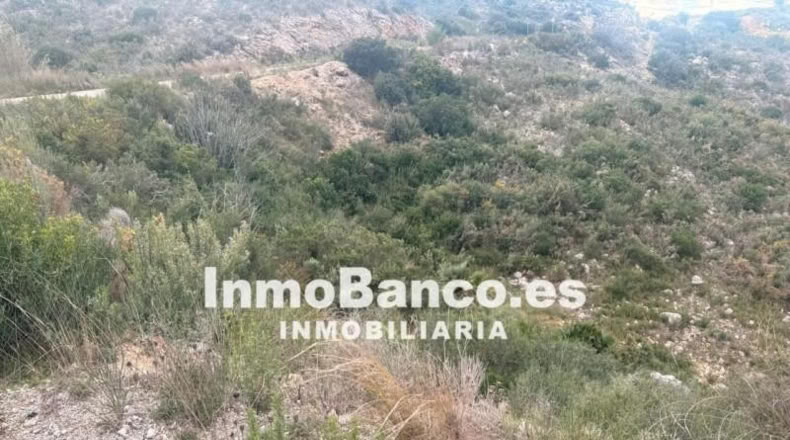 Valencia - Chiva - 513m2