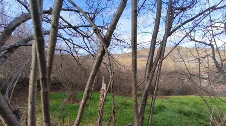 Cantabria - San Sebastián de Garabandal - 184m2