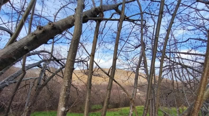 Cantabria - San Sebastián de Garabandal - 184m2