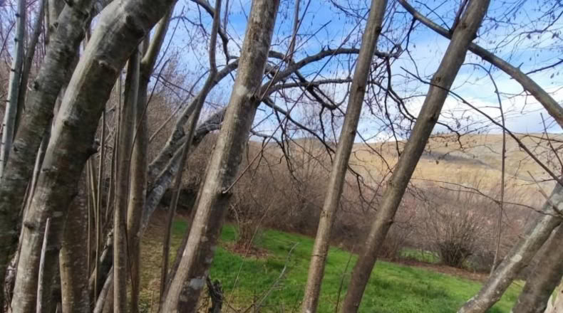 Cantabria - San Sebastián de Garabandal - 184m2