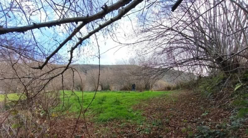 Cantabria - San Sebastián de Garabandal - 184m2