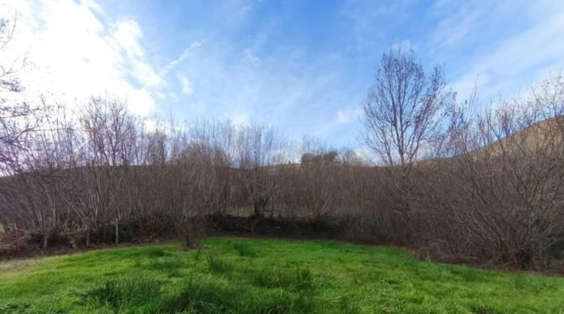 Cantabria - San Sebastián de Garabandal - 184m2