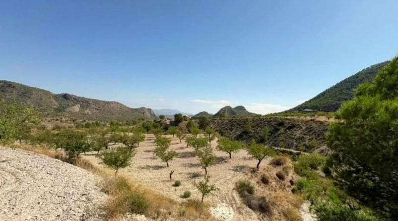Murcia - Ricote - 8512m2