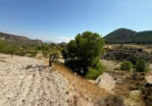 Terreno no urbanizable en venta en la España, Ricote, ref: TR341367 foto