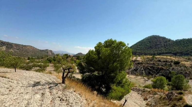 Murcia - Ricote - 8512m2
