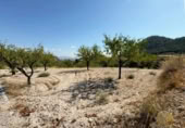 Terreno no urbanizable en venta en la España, Ricote, ref: TR341367 foto