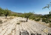 Terreno no urbanizable en venta en la España, Ricote, ref: TR341367 foto